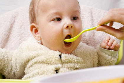 Resepi Makanan Bayi Umur 10 Bulan