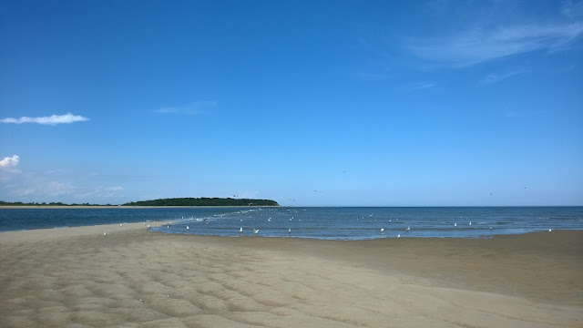 Looking north to Plumb Island from a sand bar