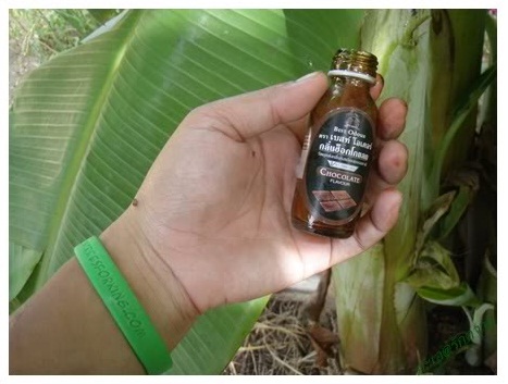 MENGAGUMKAN : Cara Sederhana Menanam Pisang Agar Punya Rasa Strawberry! MENGAGUMKAN : Cara Sederhana Menanam Pisang Agar Punya Rasa Strawberry!