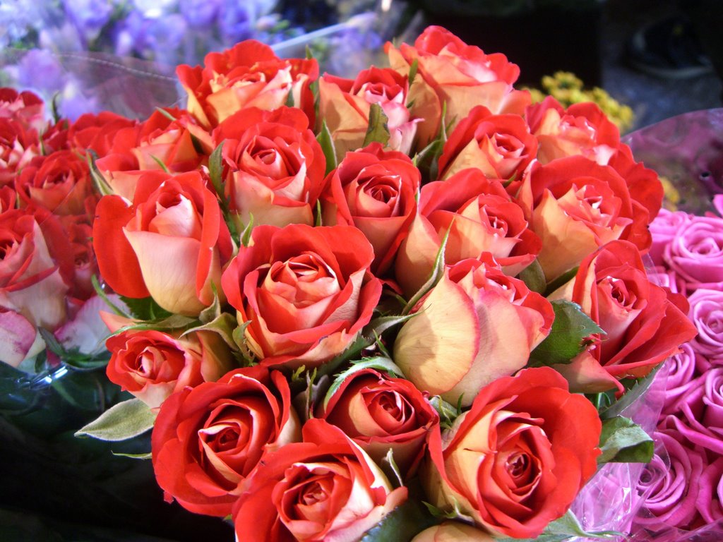 Travel Dilettante: Les Fleurs de Paris