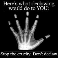 Do NOT declaw!