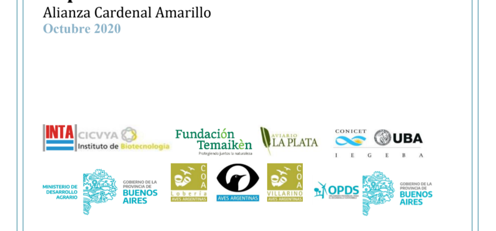 Proyecto Cardenal Amarillo 2020