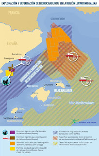 Medio Ambiente Cetaceos Mediterraneo Zepim Magrama Accobams Migracion