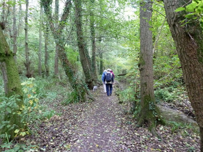 Devizes Days in Words and Pictures 2015 Through Drew's Pond on a Rainy