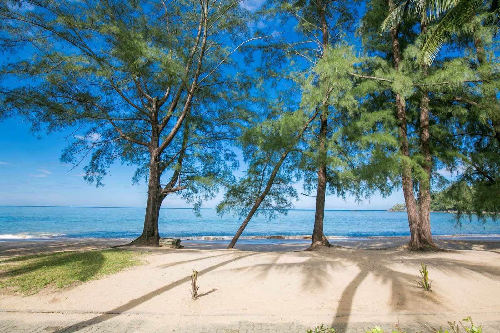 10 ที่พักพังงาติดทะเลสวยๆ ราคาถูก วิวหลักล้าน