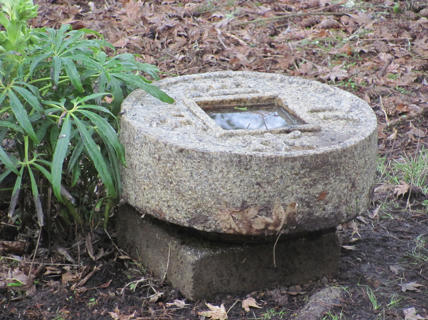 plantladysmiles zenigata japanese granite water basin