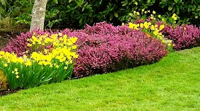 Lawn and Garden Maintenance Tips