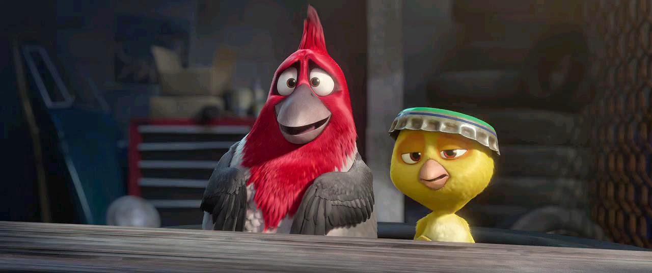 рио мультфильм 2011. рио 2 полный. рио 2 2014. рио роберто. Rio 2 2014.