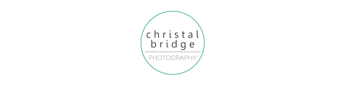 Christal Bridge Photography/St. Louis Photographer