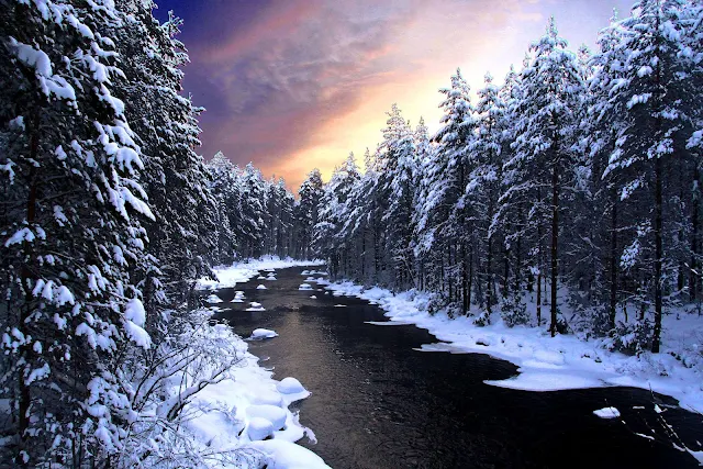 Rivier met bomen en sneeuw in de winter