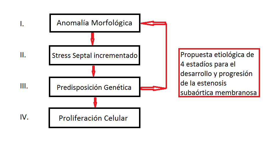 ESTENOSIS SUBAORTICA MEMBRANOSA EBOOK DOWNLOAD ESTENOSIS SUBAORTICA MEMBRANOSA EBOOK DOWNLOAD