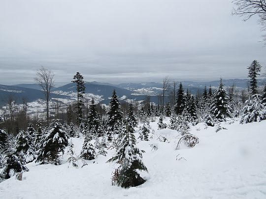Panorama Beskidu Wyspowego ze wschodnich stoków Lubogoszcza.