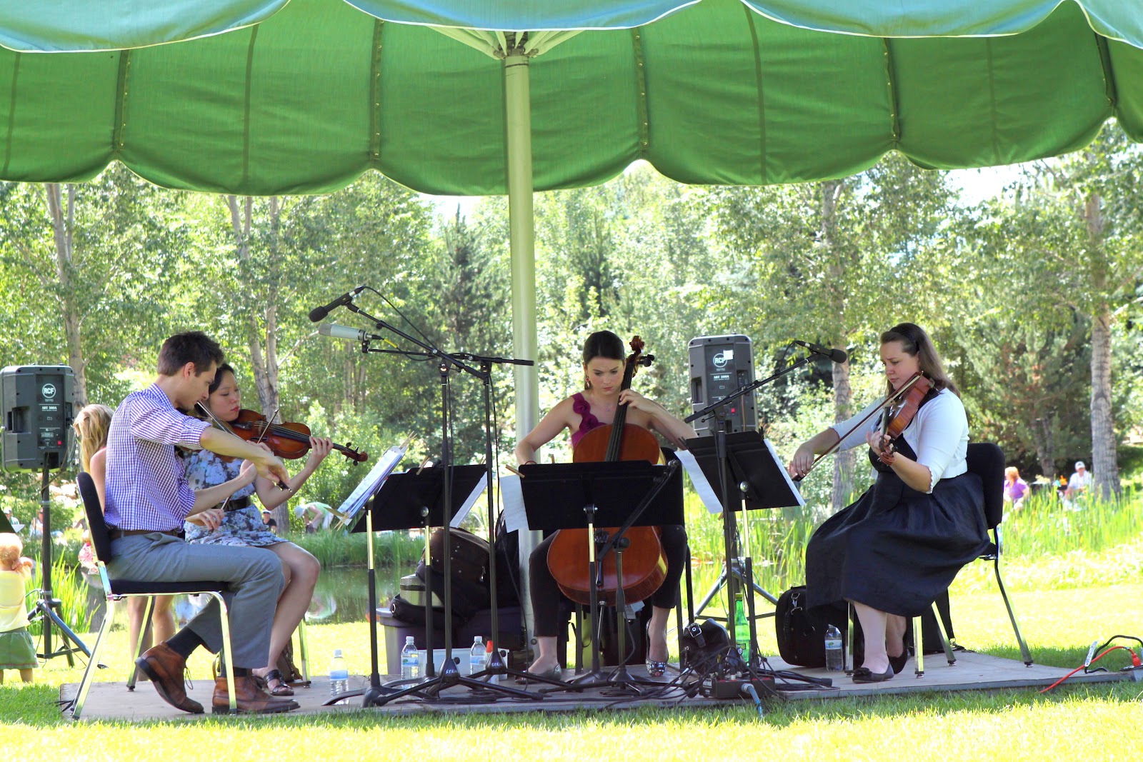 Strings Music Festival Blog