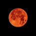 Game of Thrones prequel: Bloodmoon