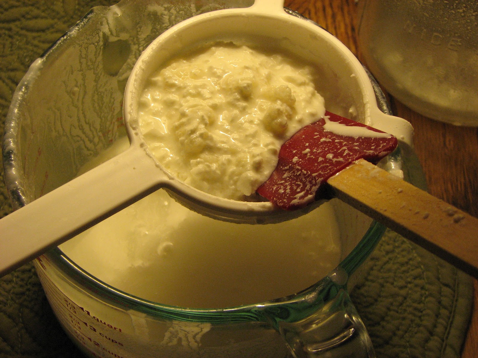 The Back Forty It's Kefir Time