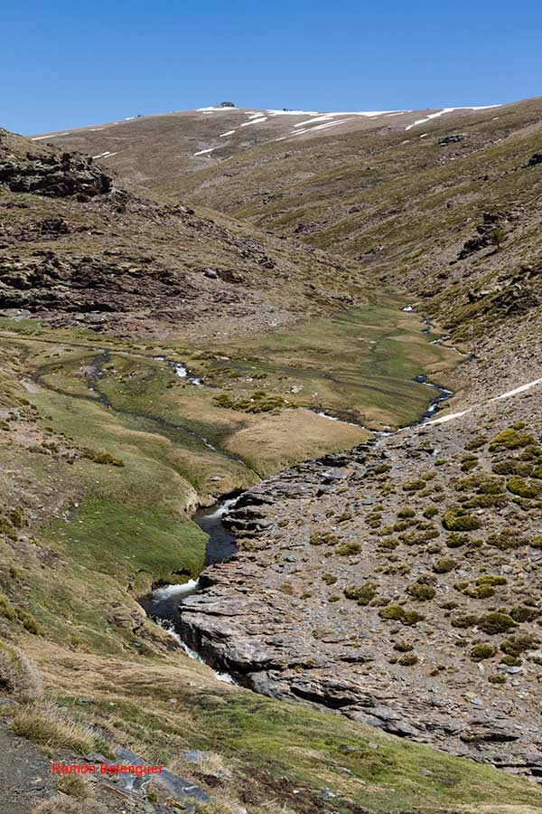 BICHOS Y MAS VLC TRAVESÍA LANTEIRABÉRCHULESLANTEIRA (VUELTA)