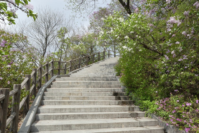 Seoul - Namsan-Park Seoul - Namsan-Park