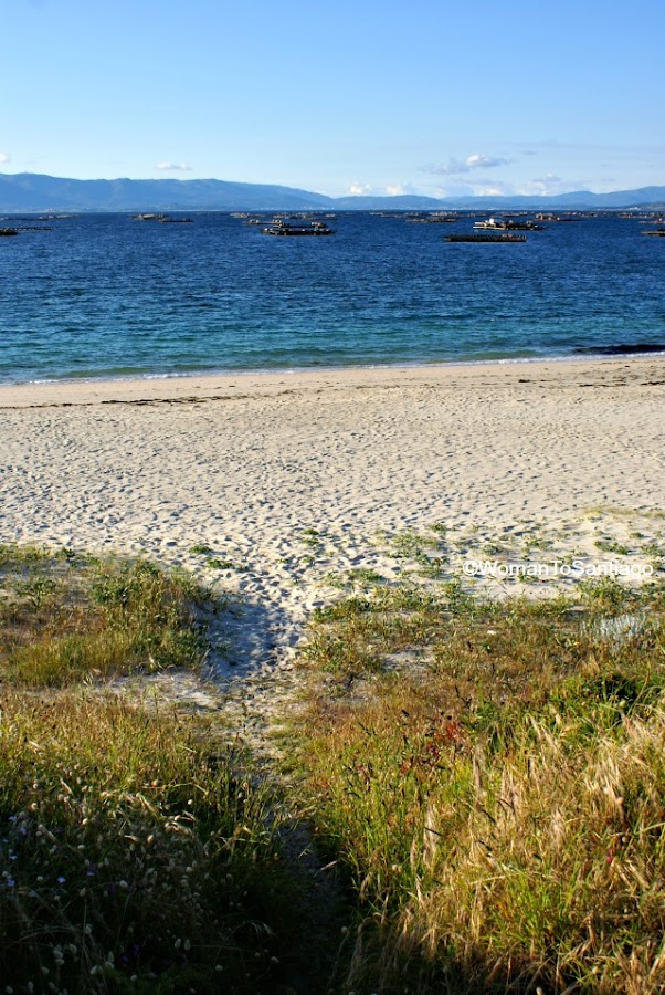 bateas-playa-o-carreiro-ruta-xacobea-mar-de-arousa