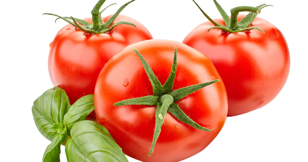 Помидор 2кг 820. Органик микс для томатов. Помидоры 1000 и две помидорки. Помидоры 2 кг. Фестиваль помидоров в минусинске.