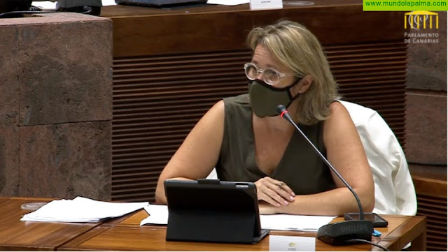 Alicia Vanoostende aborda la situación del sector vitivinícola en comisión parlamentaria