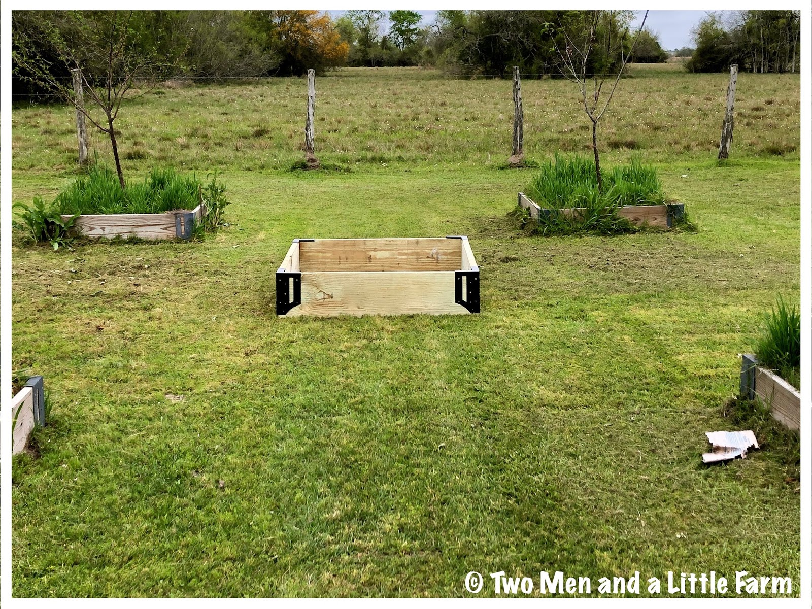 Two Men and a Little Farm CITRUS TREE RAISED BEDS BUILT