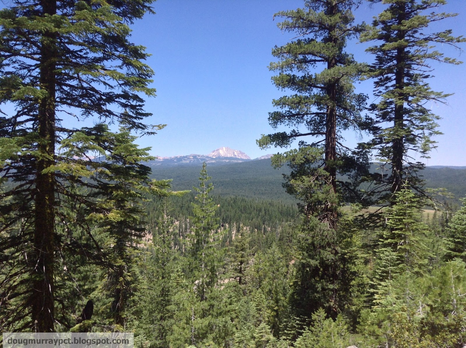 Pacman Hikes the 2013 Pacific Crest Trail Old Station, California