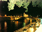 ParisBridge over the River Seine 2010 by DGH (dsc )
