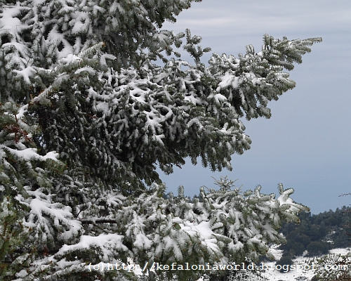 Snow on Mt. Aenos, Kefalonia