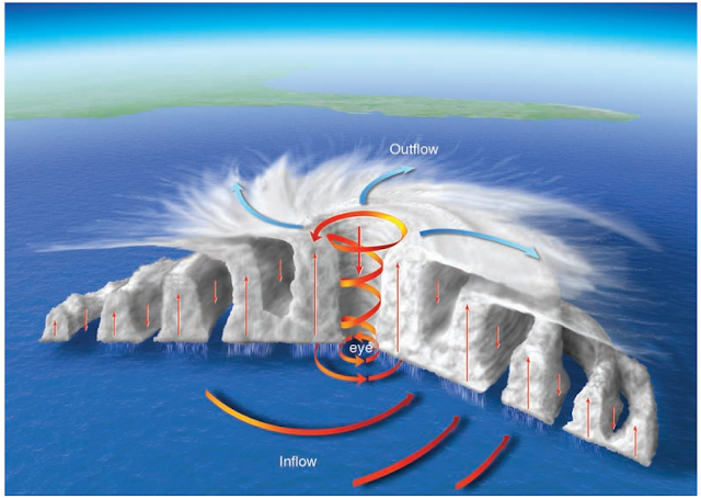 Penampang sebuha siklon tropis