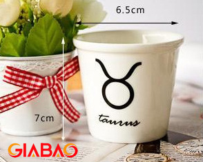 Ly sứ trắng giá rẻ tại Shop Gia Bảo