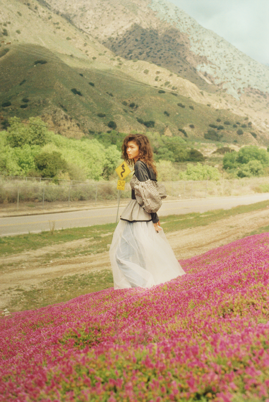 Download Zendaya In Wonderland Magazine Summer 2016 By Petra Collins For Android Wallpaper Zendaya In Wonderland Magazine Summer 2016 By Petra Collins HD