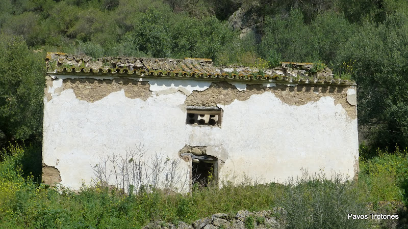 TROTONES BLOG Tajos de Mogarejo