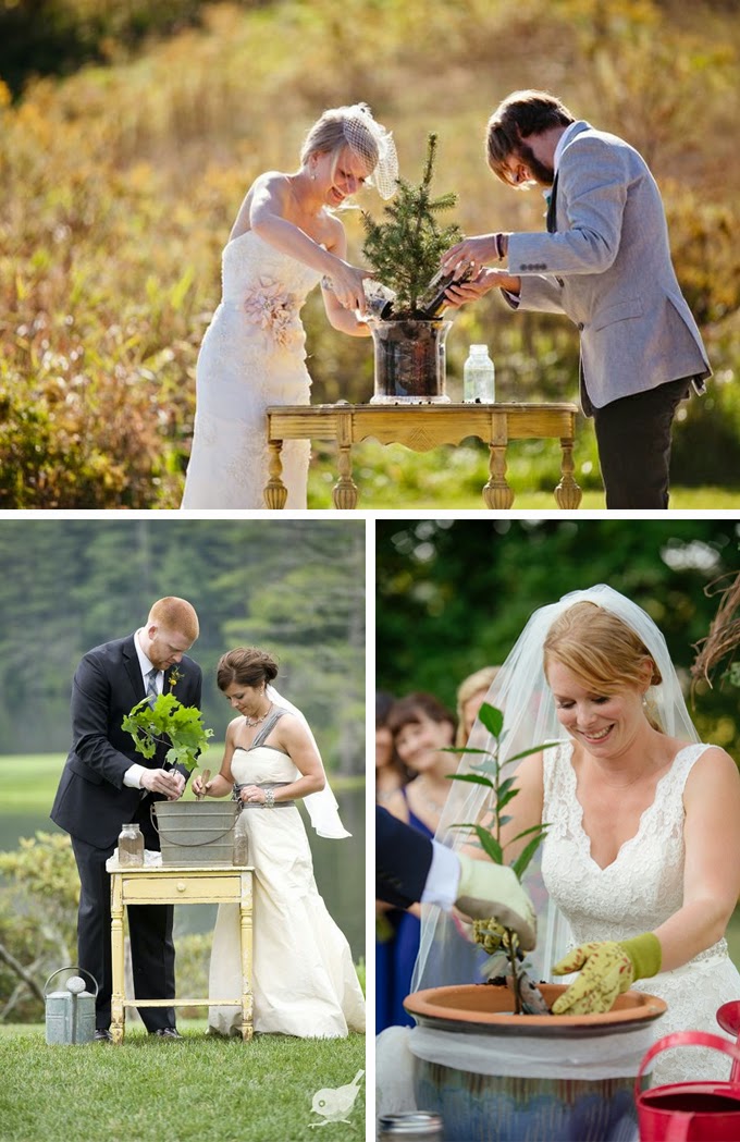 Tree Planting Wedding Unity Ceremony
