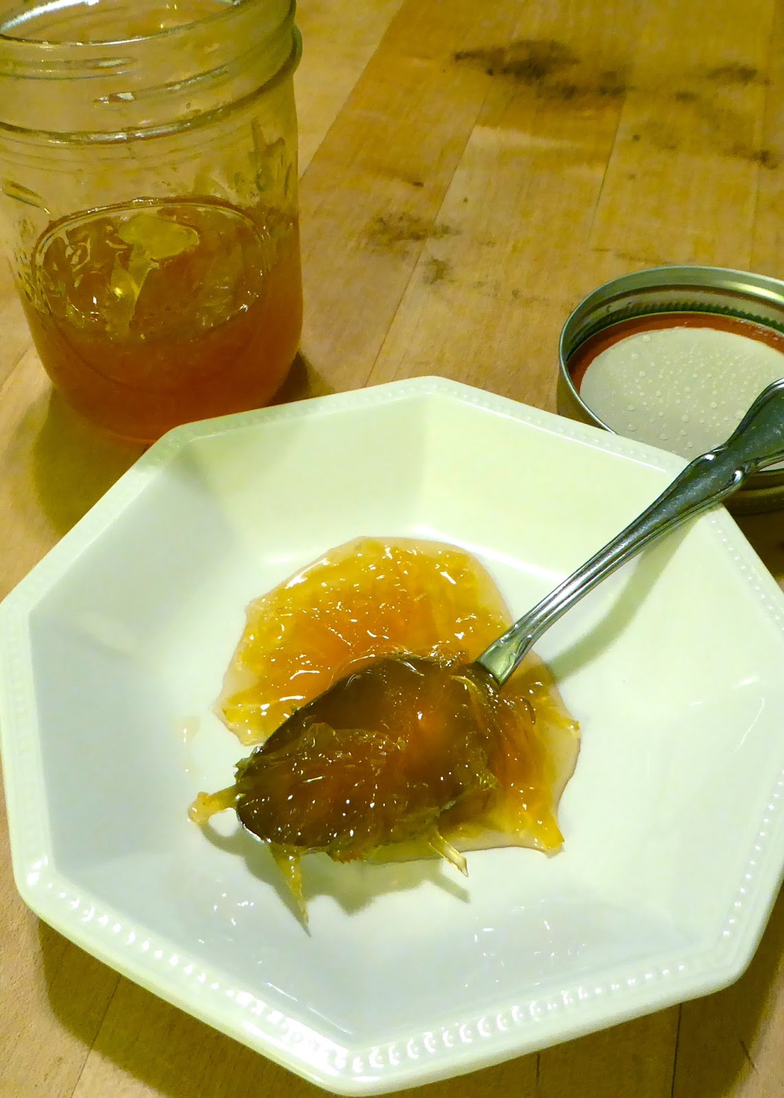 Susan Can Cook Mastery Class Grapefruit Marmalade with Honey and Mint