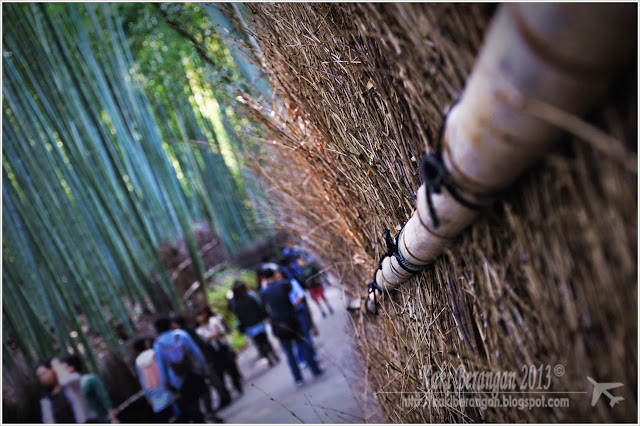 kansai japan 2013 9 bamboo grove arashiyama nishiki market kyoto 3