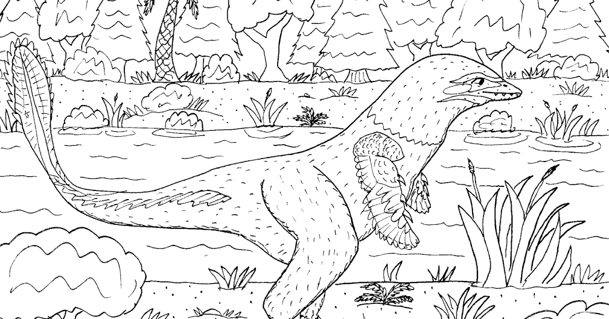 Robin's Great Coloring Pages: New Dinosaur Albertavenator curiei