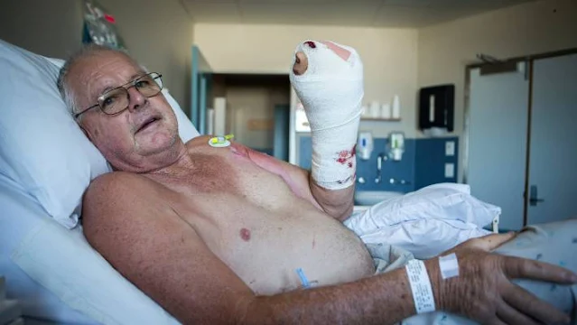 safety gloves for chainsaw use