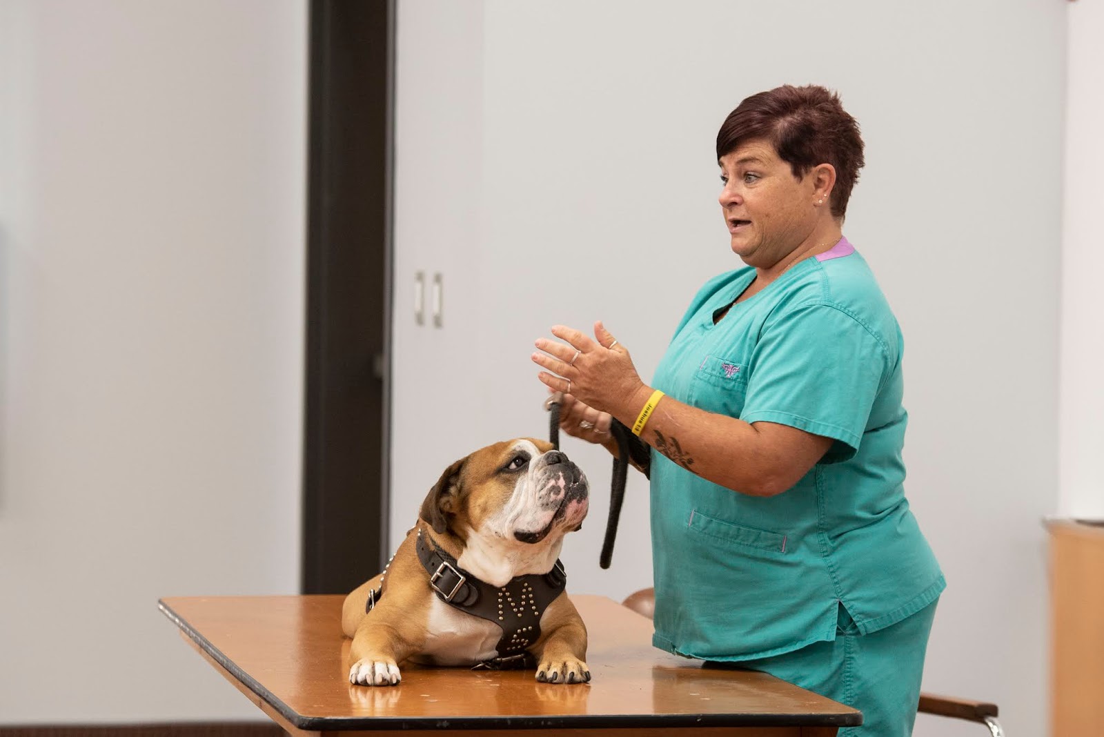 CVM News and Events DAY 1 of Vet Camp