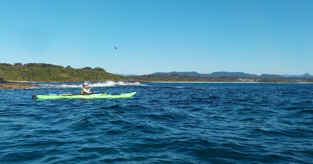 The Conspiracy Times Coastal Kayak Tripping Kioloa to Ulladulla