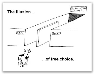 Image result for illusion of choice