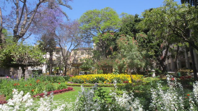 Funchal - bunte Blütenpracht im Jardim Municipal do Funchal Funchal - bunte Blütenpracht im Jardim Municipal do Funchal