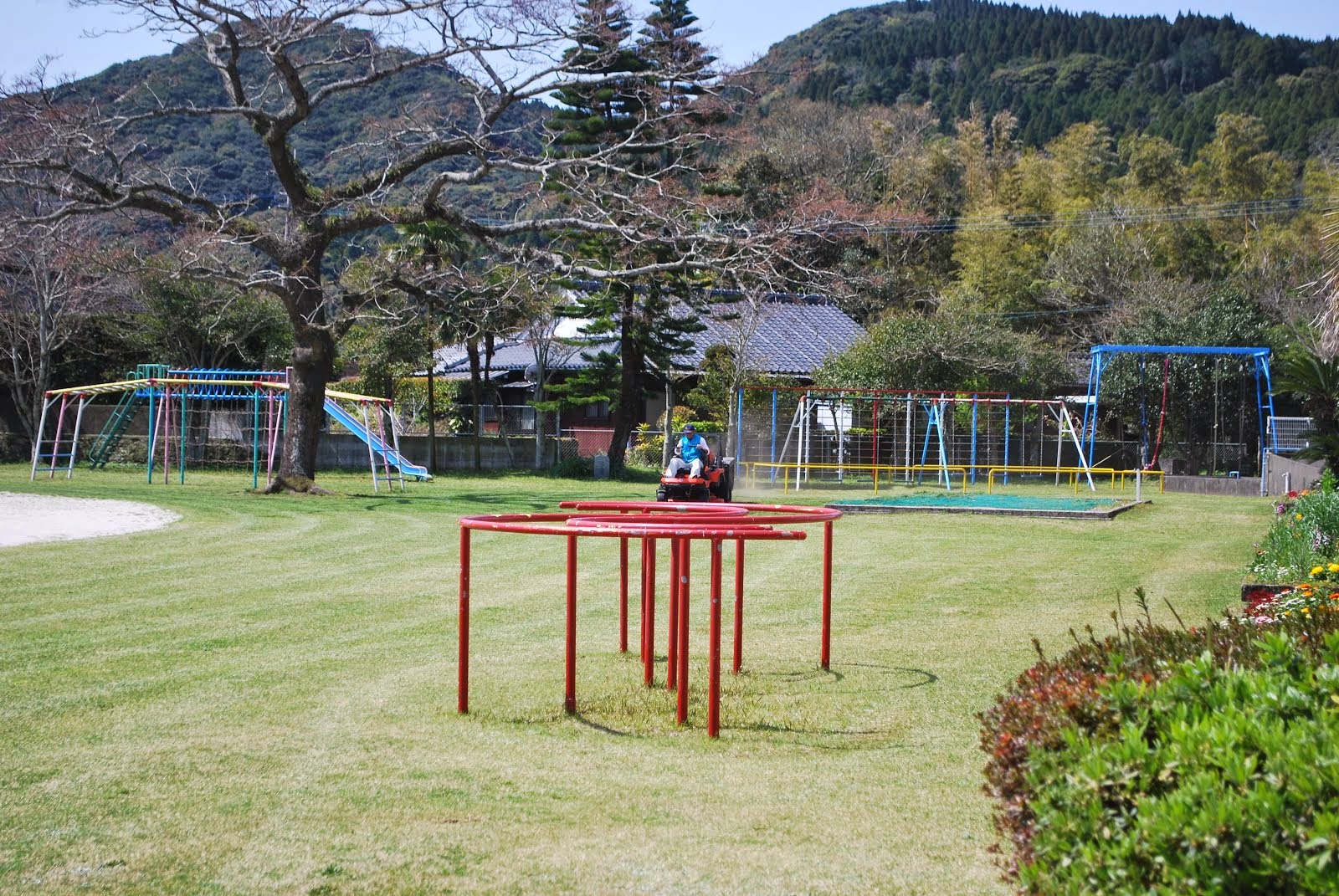 指宿市立池田小学校 緑色が映えてきた