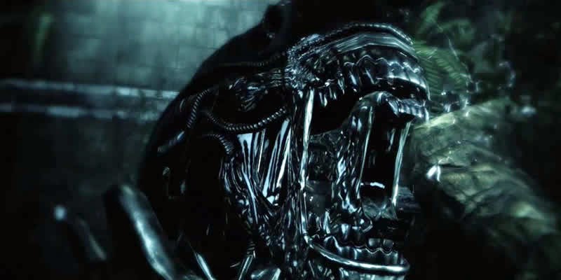download alien vs predator new movie download alien vs predator new movie