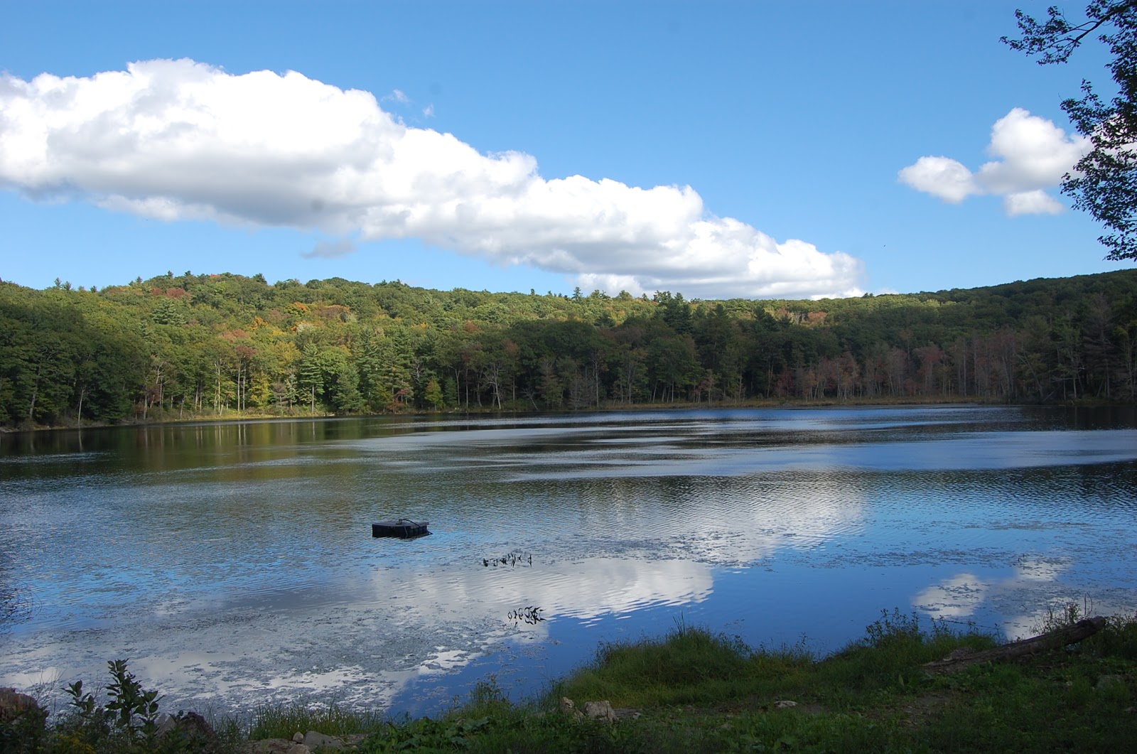 Camp Wa Wa Segowea It's time to register for the summer at Camp Wa Wa