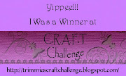 I won at C.R.A.F.T. Challenge