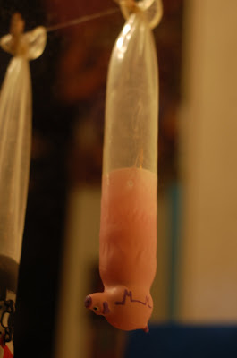 DSC_0240%2B2.JPG