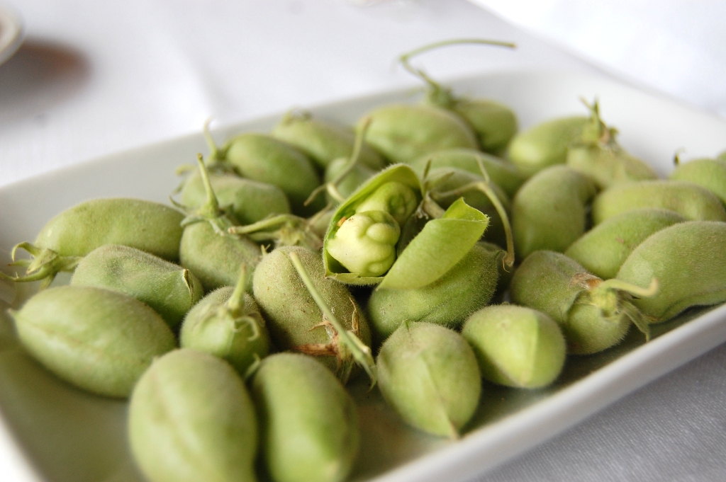 Garbancita® Garbanzos verdes en el Frontón de Tolosa