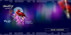 karizma album 12x30 psd wallpapers backgrounds studio capture desktop