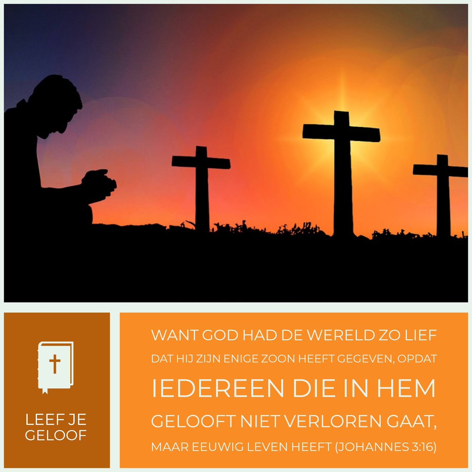 Leef je geloof De kern van