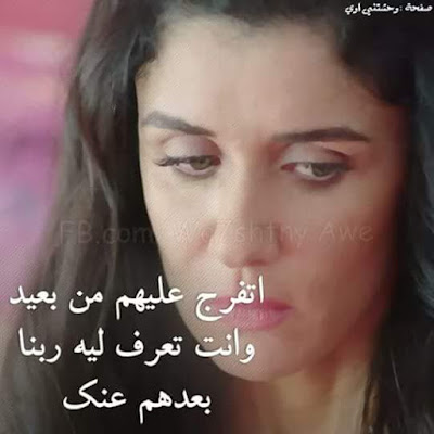shof_bf85f6435aa3950